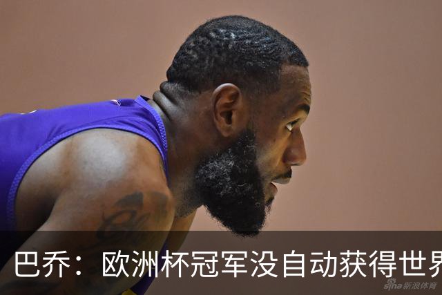 巴乔：欧洲杯冠军没自动获得世界杯资格 这是耻辱
